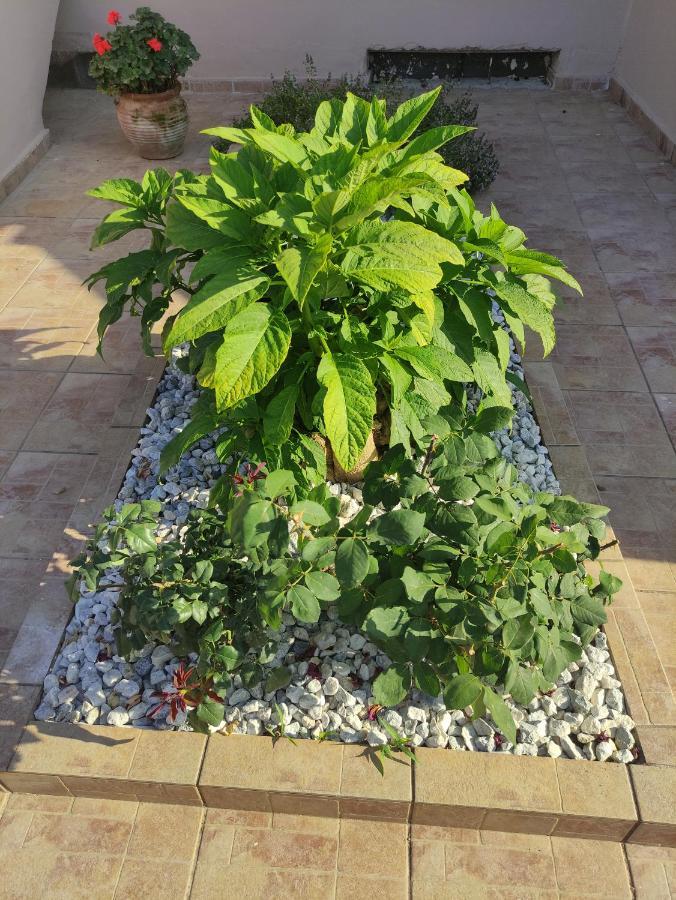 # 6 Giorgos & Chara Apartments Nea Kydonia Extérieur photo
